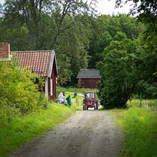 I ett somrigt landskap på Ridön åker en traktor förbi Kurö Gård. Foto: Pressbild