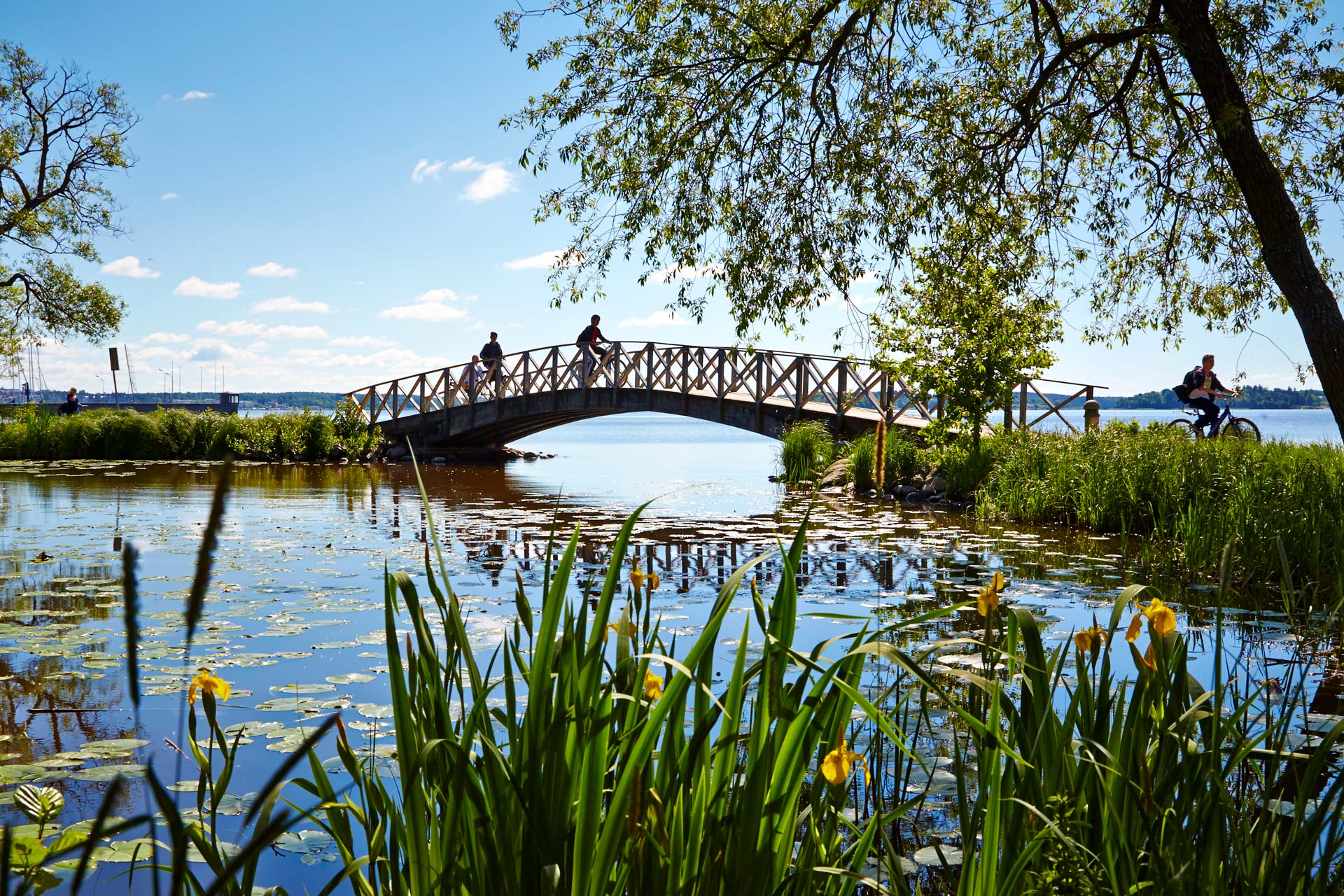 Cyklister cyklar i naturskön miljö på liten bro över Mälaren. Fotograf: Hans Nordlander