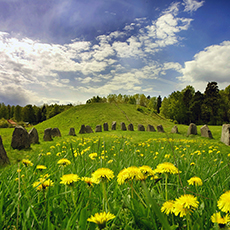 Sveriges största gravhög sommartid, Anundshög. Foto: Clifford Shirley