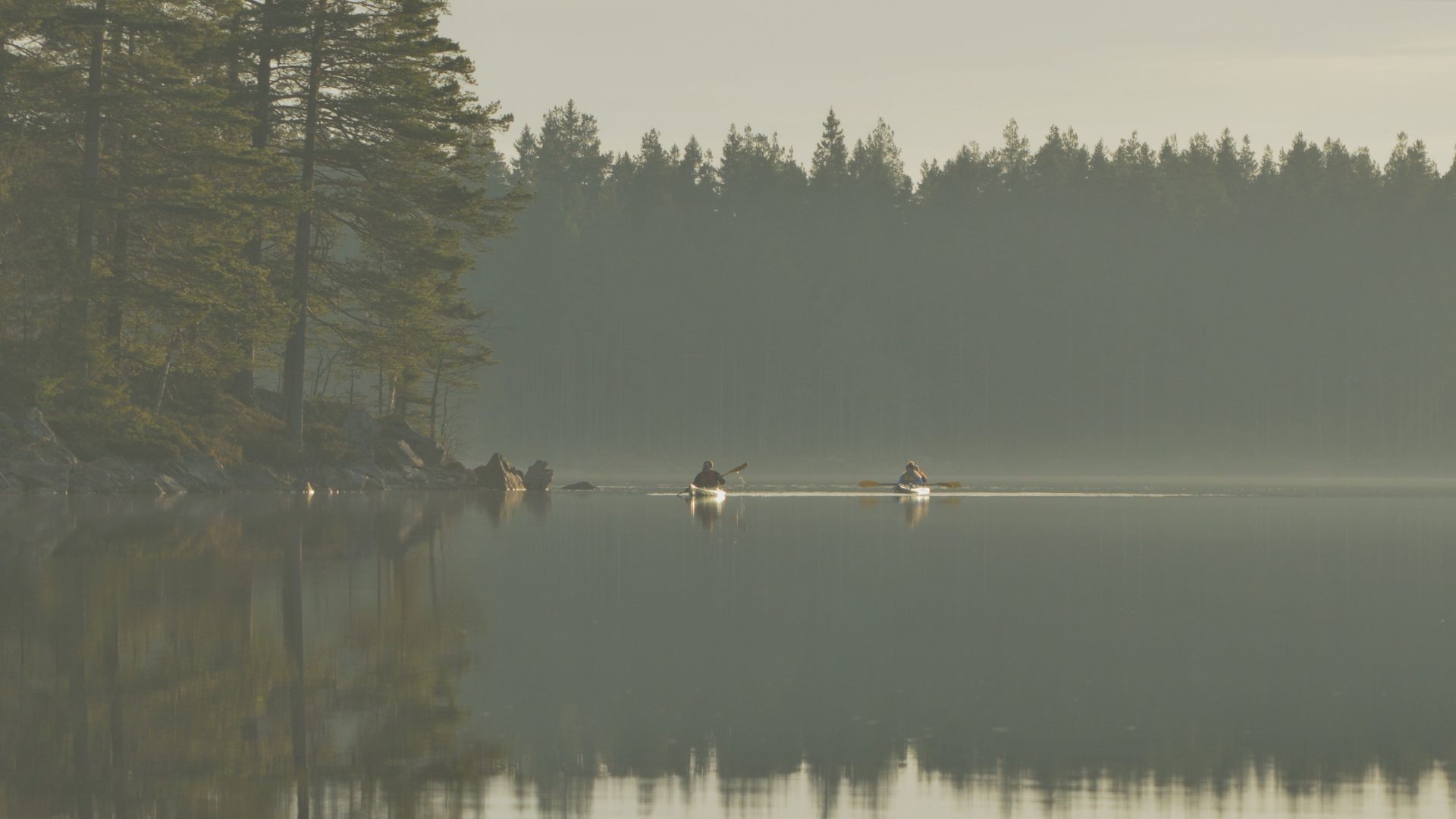 Två personer paddlar i varsin kajak på en dimmig sjö. Pressbild.