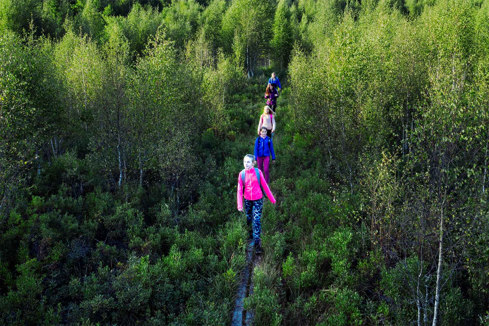 Ungdomar som vandrar på en spång i skogen. Foto: Roger Borgelid.