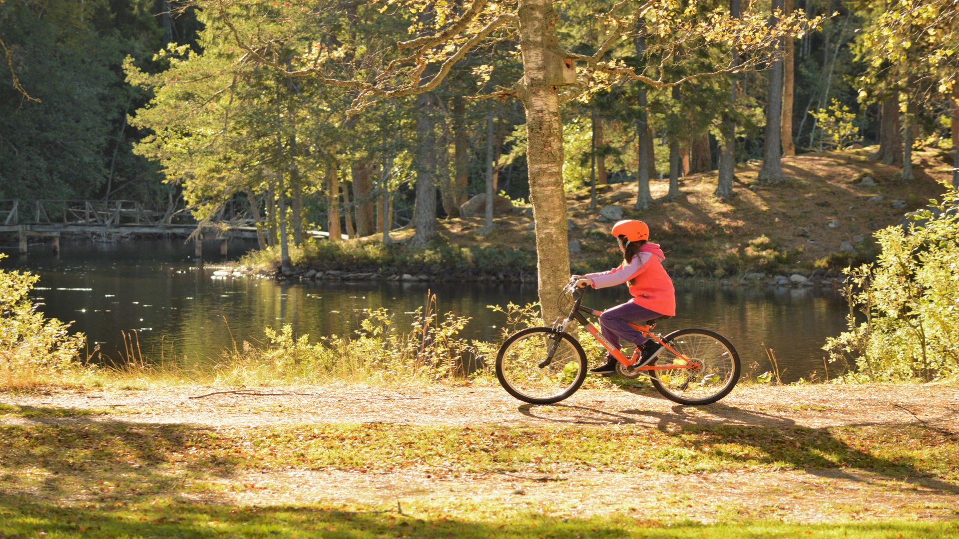 En flicka cyklar intill en sjö. Fotograf: Pressbild