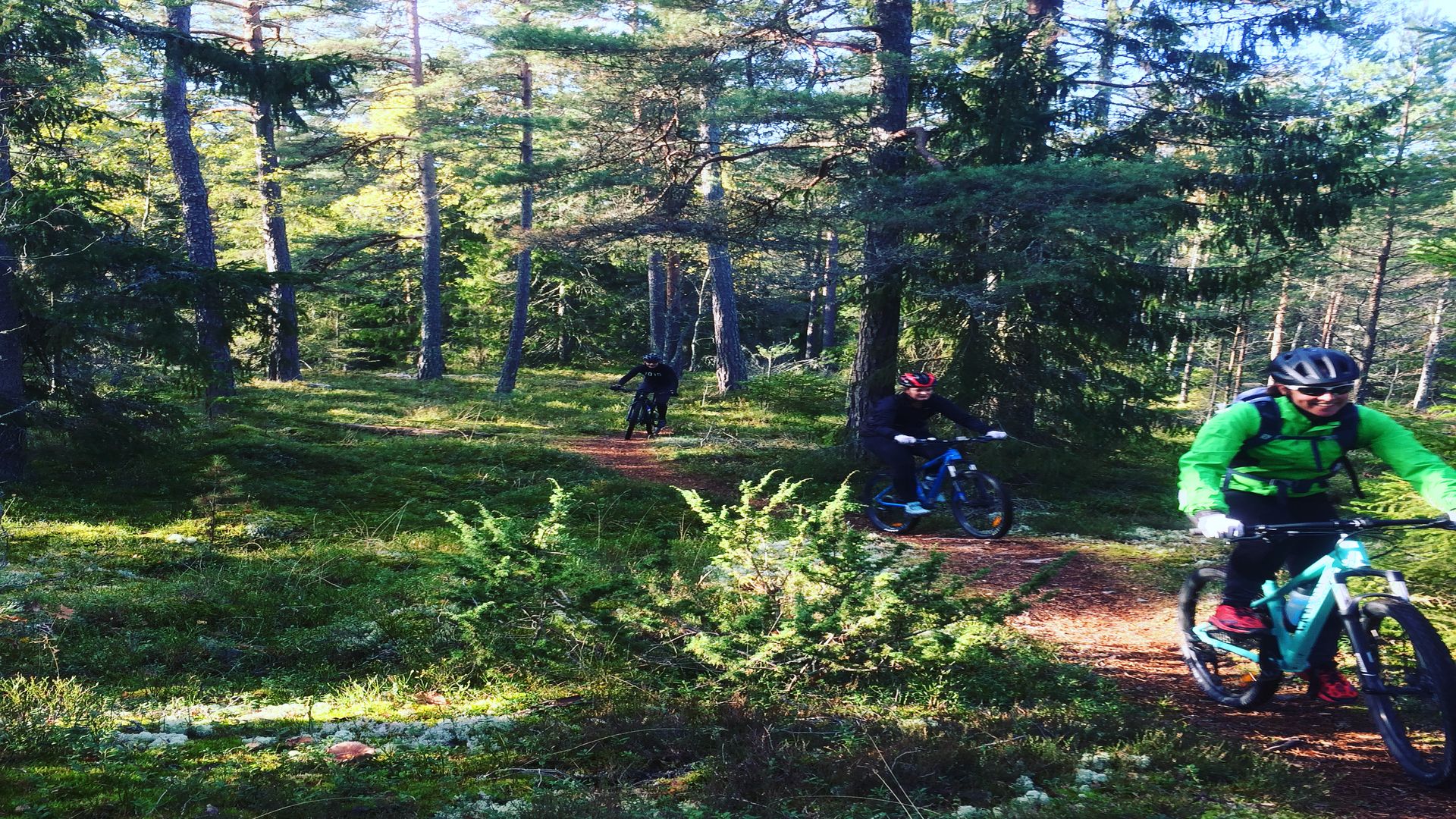 2 personer cyklar fridfullt i skogen. Fotograf: Pressbild Kungsörstorp